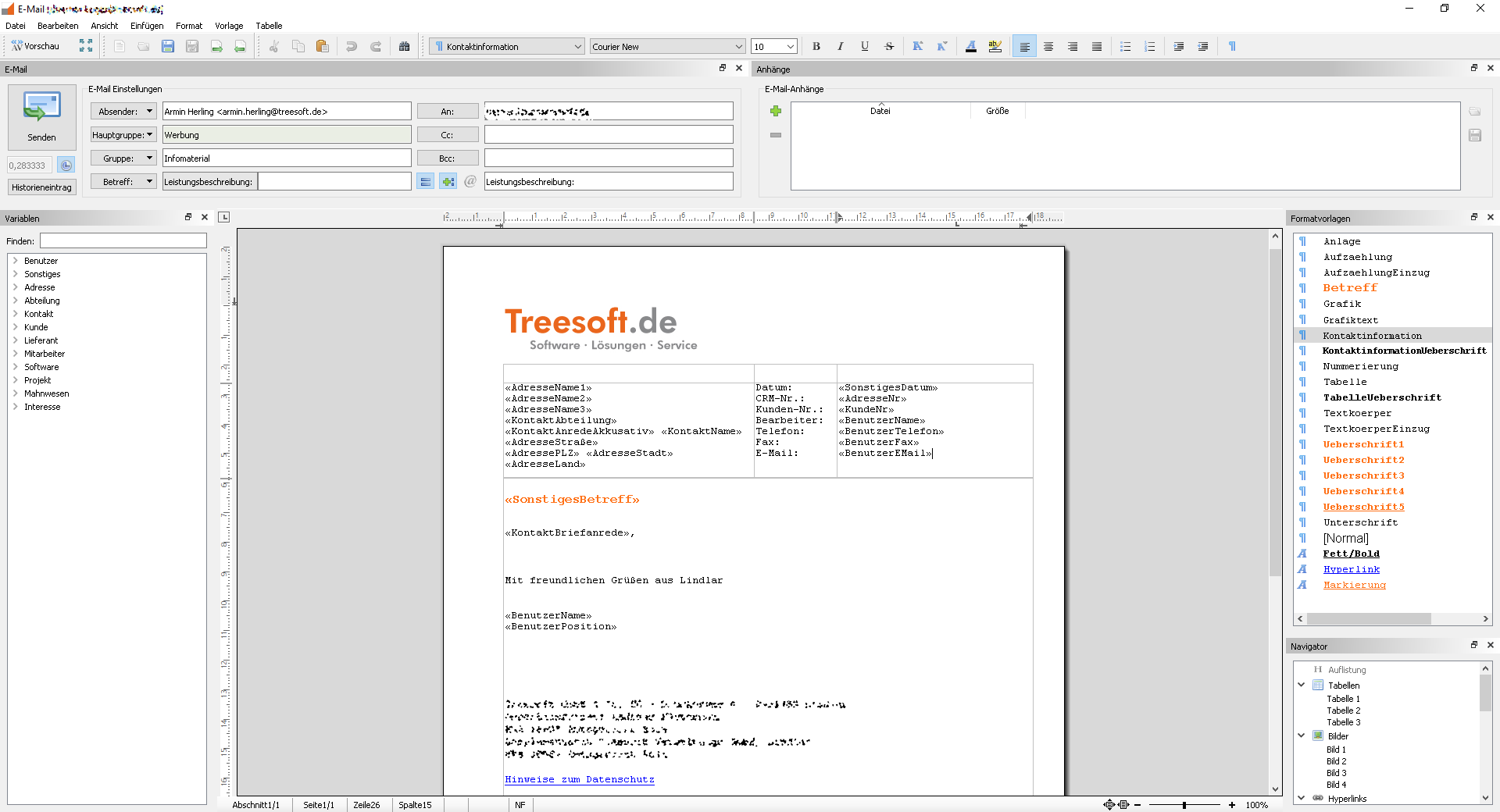 TEFB document editor preview